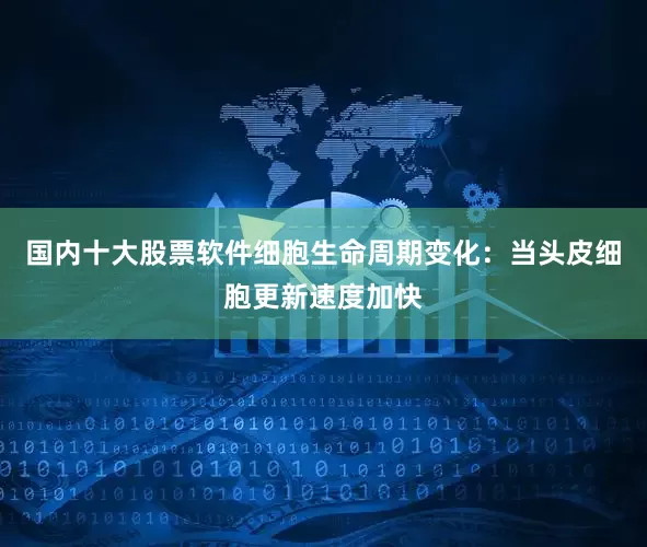 国内十大股票软件细胞生命周期变化：当头皮细胞更新速度加快