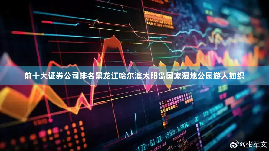 前十大证券公司排名黑龙江哈尔滨太阳岛国家湿地公园游人如织