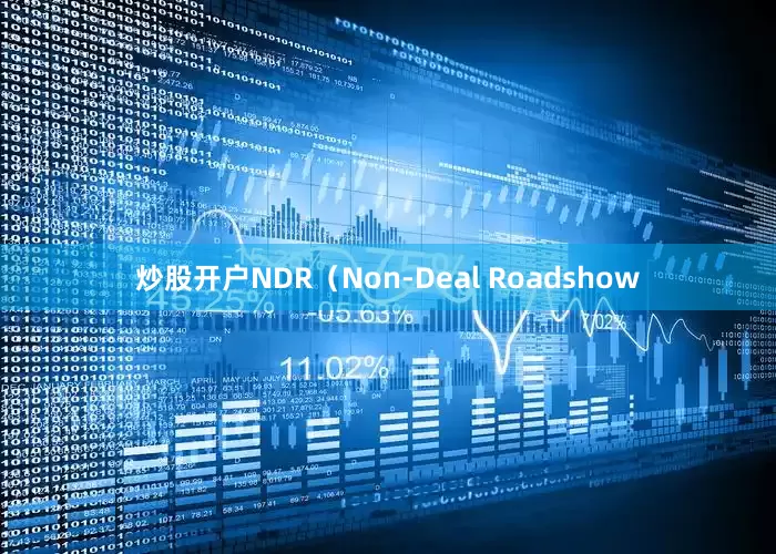 炒股开户　　NDR（Non-Deal Roadshow